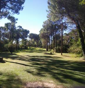 IMG 20181024 122025 1